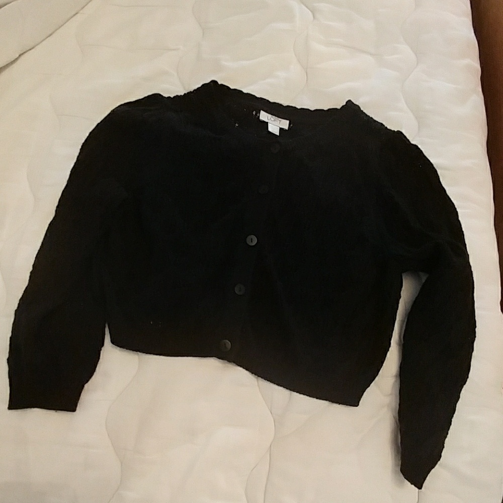 Ann Taylor Loft sweater 100 percent cotton